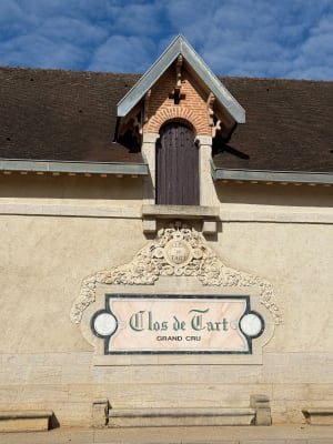La côte dorée du Clos Vougeot à Morey-Saint-Denis - Lionel - 20
