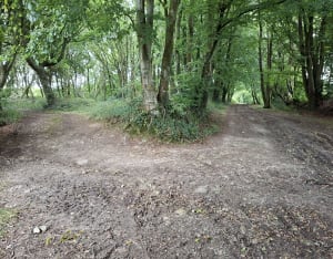 Balade détente dans les bois de Breuville - Cédric - 8