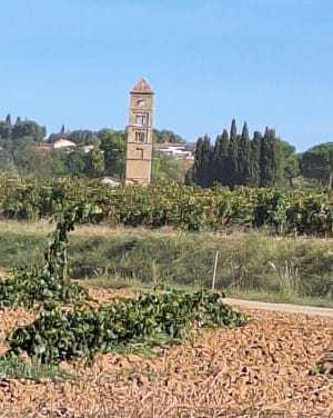 Balade dans les vignes à Espondeilhan, par Puimisson - CATHERINE - 2