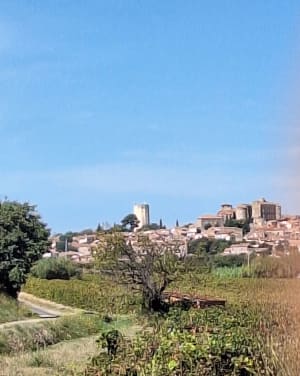 Balade dans les vignes à Espondeilhan, par Puimisson - CATHERINE - 4