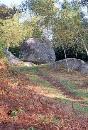 Les pierres Folles - Regine - 7