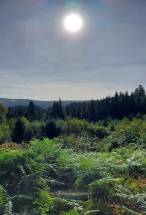 Les pierres Folles - Regine - 8