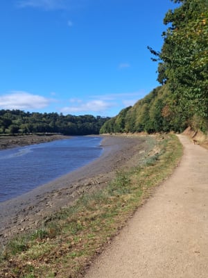 Au fil du Léguer depuis Lannion - Lannion - 7