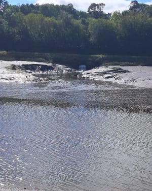 Au fil du Léguer depuis Lannion - Lannion - 6