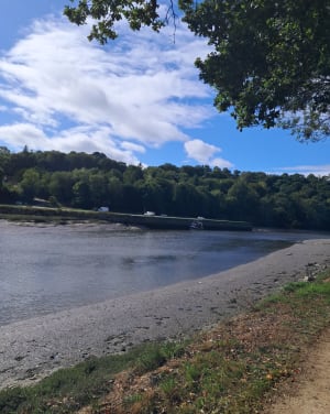 Au fil du Léguer depuis Lannion - Lannion - 5
