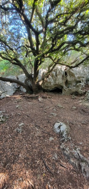 Voyage dans les grottes et gouffres de Vallon-Pont-d'Arc - Serge - 2