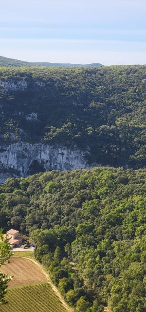 Voyage dans les grottes et gouffres de Vallon-Pont-d'Arc - Serge - 3