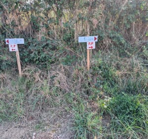 Parcours de la marche des noisettes, par les Brosses - Christian - 5