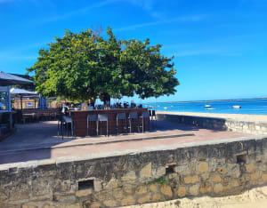 Ontsnapping tussen land en zee van Arcachon - Ludovic - 10