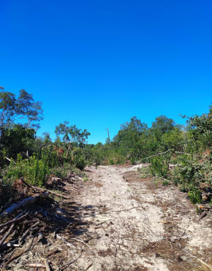 Ontsnapping tussen land en zee van Arcachon - Ludovic - 11