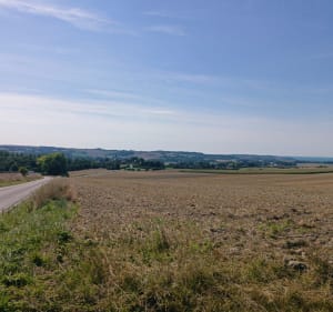 Wissant par la campagne - Séverine - 5