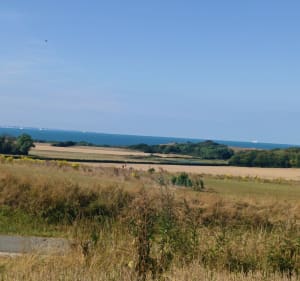 Wissant par la campagne - Séverine - 3
