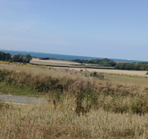 Wissant par la campagne - Séverine - 4