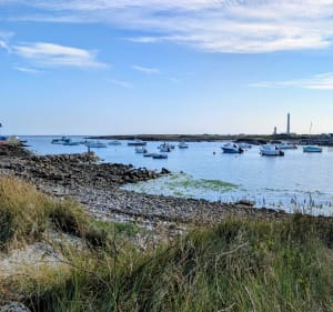 Entre terre et mer à Gatteville-le-Phare - FRANCOIS - 3