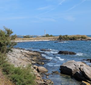Entre terre et mer à Gatteville-le-Phare - FRANCOIS - 4
