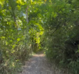 Parcours Aubière, monter sur plateau de Gergovie - Christophe - 2