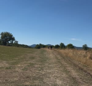 Parcours Aubière, monter sur plateau de Gergovie - Christophe - 4