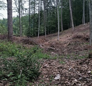 Trasa Lębork - ×Krępkowice - Krystyna - 3