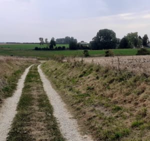 Campagne les hesdin et ses pigeonniers - Stephanie - 3