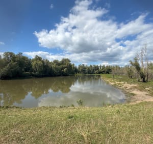 Ophemert : Waalbandijk - promenades sur les digues - Sophie - 4