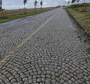 Hameaux d'Avelin par pavés et campagne - Lysiane - 2