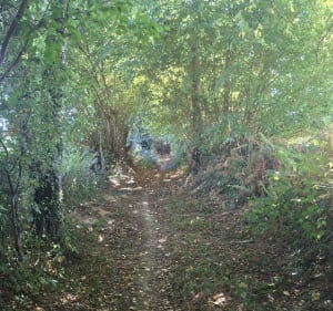 Petite rando tranquille - Graziella - 4
