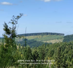 Haut Folin - Saint-Prix - 3