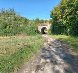Promenade au départ  de la Chapelle Mory Moncru - LAURENT - 2