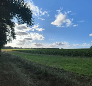 Balade entre route et chemin de vigne - Valentine - 3