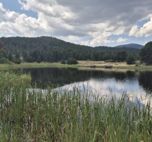 Ballade en forêt depuis le lac de Calvet - Suzie - 5