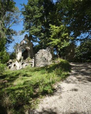 Promenade romantique dans le Parc de Majolan et richesse botanique - Blanquefort - 4