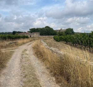 Boucle Pignan - Murviel-lès-Montpellier - Bruno - 2