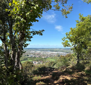 Randonnée VTT plateau de Cita et Saint-Anne - Échenoz-la-Méline - 3