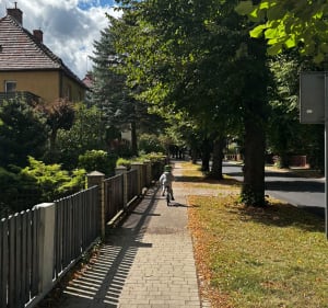 Trasa Podzamcze-Dworzysko-Podzamcze - Kamil - 3