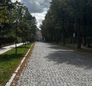 Trasa Podzamcze-Dworzysko-Podzamcze - Kamil - 5