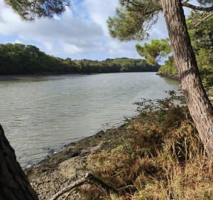 Petit tour au bord de l'eau depuis Bono - Elodie - 5