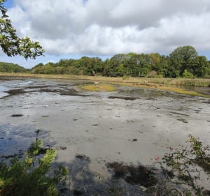 Petit tour au bord de l'eau depuis Bono - Elodie - 2