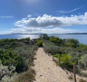 Presqu’île de Giens - partie Est - Laurent - 4