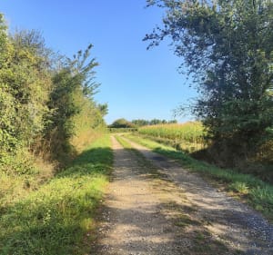 Pleumartin et ses environs - Didier - 2