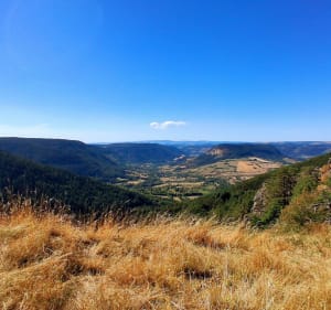 Gorges du Bramont - Saint-Étienne-du-Valdonnez - 4