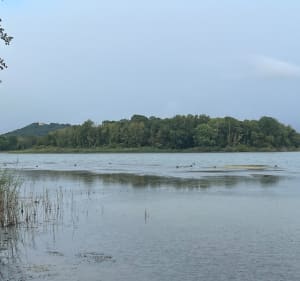 Autour du lac de Madine de Bouillonville - Barbara - 2