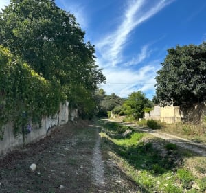 Balade entre ville et garrigues à Nîmes - Marc - 3