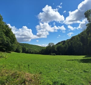 Balade entre Leimbach et Rammersmatt - Gilles etang de la poudrière Cernay - 4