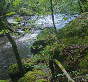 Randonnée des Tours de Merle - Mel - 5