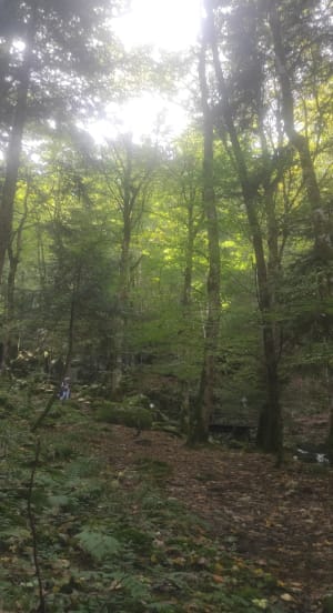 Cascade de Battion - Klod - 3