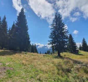Les chavannes des Gets - Paul - 2