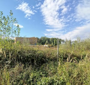 Dans la forêt entre Cussey sur l'Ognon et gare TGV Besançon - LAURENCE - 3