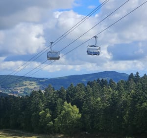 Les hauteurs de Chalmazel - Chalmazel-Jeansagnière - 2