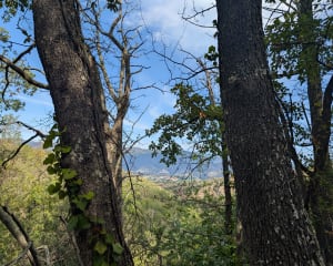 Sur les hauteurs de Los Masos - Nathalie - 6