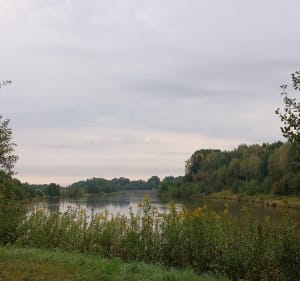 Zbiornik retencyjny Skrzyszów - Marta - 3